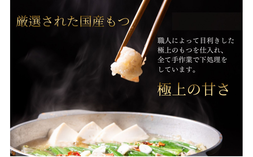 【老舗人気店】博多本格もつ鍋セット 2～3人前