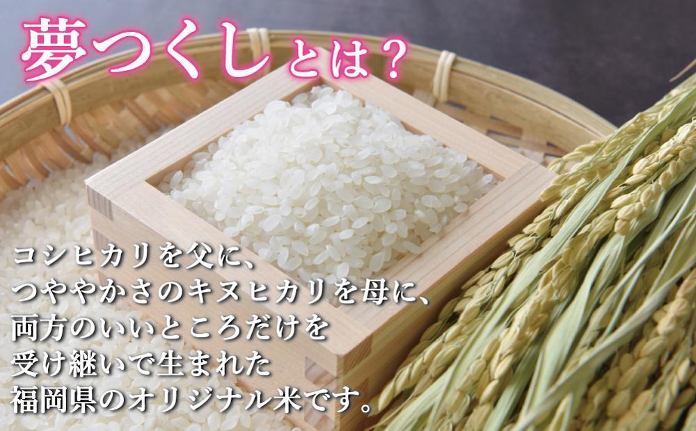 令和7年米 福岡県産 米 金のめし丸夢つくし 5kg (1袋)