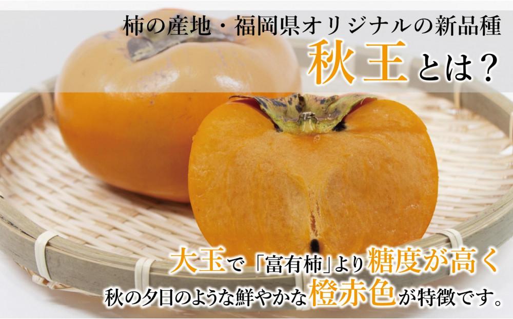 【福岡県産】秋王 約1.5kg