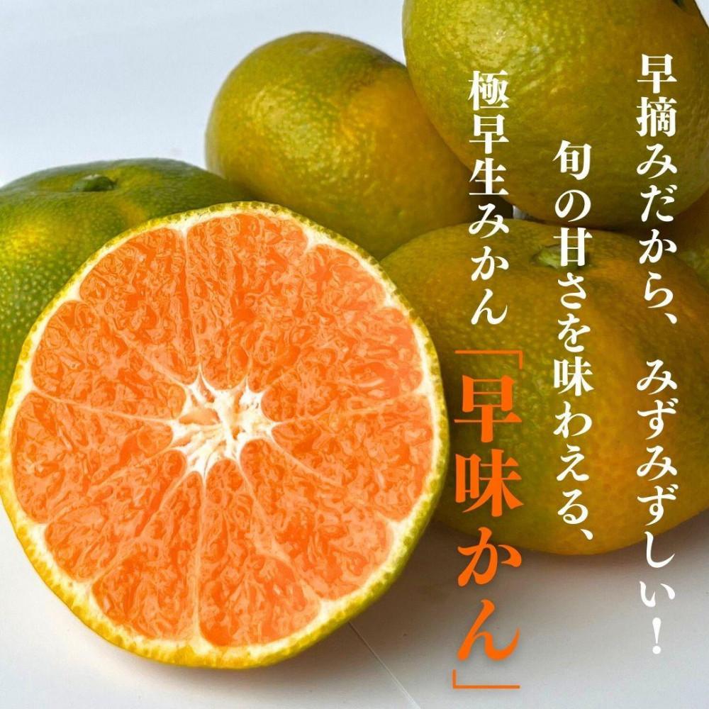 【2026年9月下旬より順次発送】福岡県産 早味かん 約4kg(40玉～50玉入) M・Sサイズ うまうまもぐもぐ