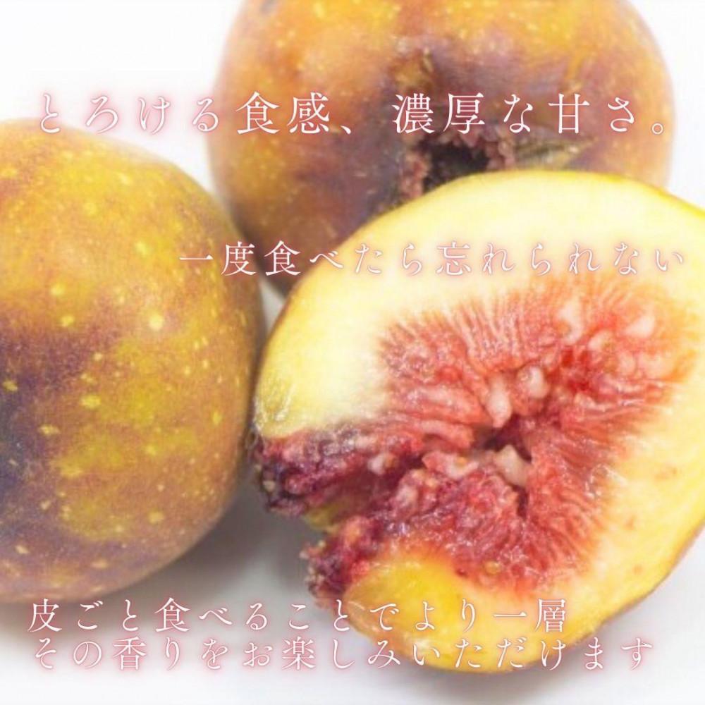 【2026年9月下旬より順次発送】福岡県産 とよみつ姫 約1.2kg以上(約300g×4パック入り) うまうまもぐもぐ