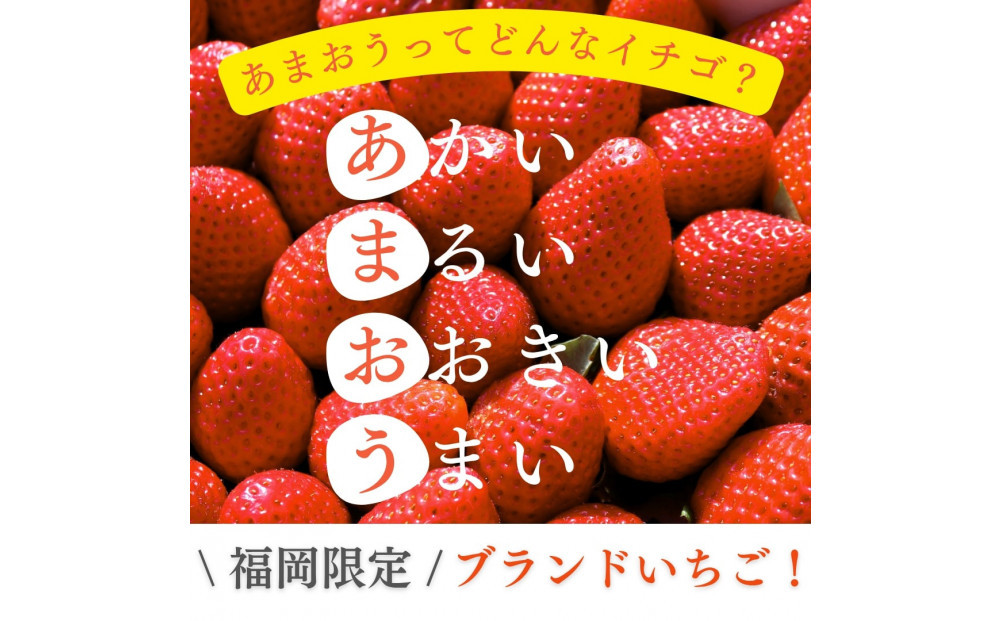 【福岡スイーツ自然の贈り物】かわいい化粧箱入り！福岡県産冷凍あまおう合計3kg(500g×6袋)