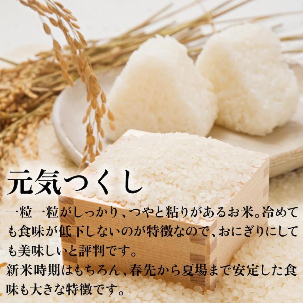 新米！！令和7年産 福岡県産米 元気つくし 合計30kg ( 5kg×6袋 )