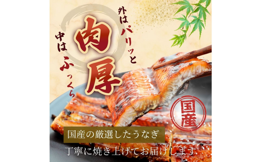 うなぎ蒲焼（国産鰻 200g×2尾）