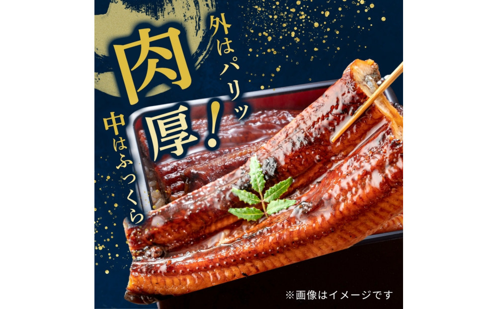 うなぎ蒲焼（中国産鰻 222g×3尾）