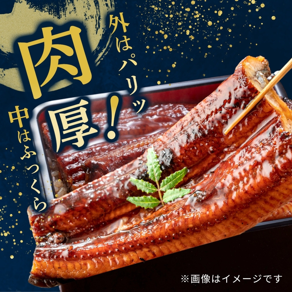 うなぎ蒲焼（中国産222g×4尾）