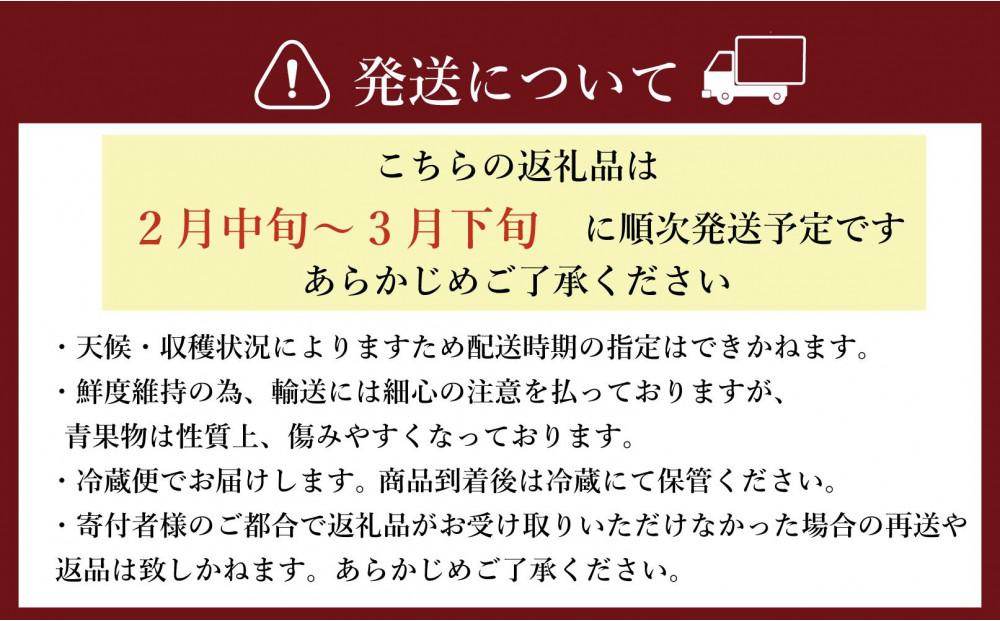 ★先行予約★いちごの王様 福岡県産博多あまおう270g×4パック【2026年2月中旬～3月順次出荷予定】