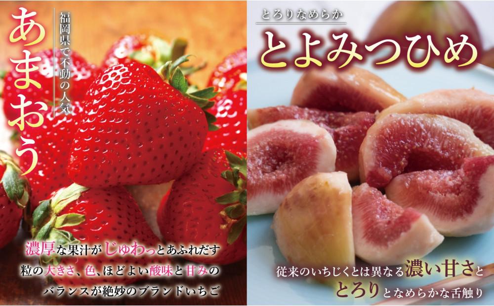 福岡フルーツ定期便A (あまおう・とよみつひめ・甘うぃ・秋王)【全4回】