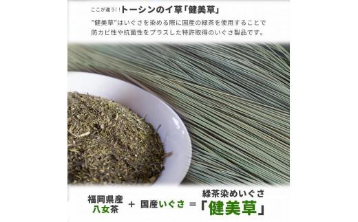 い草玄関マット DXレスパル グリーン 67×120