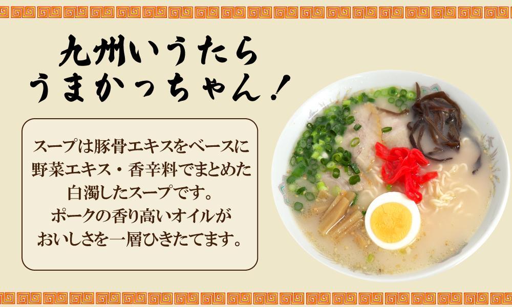 うまかっちゃん 5食＆博多からし高菜風味 5食 計10食セット: 大川市ANAのふるさと納税