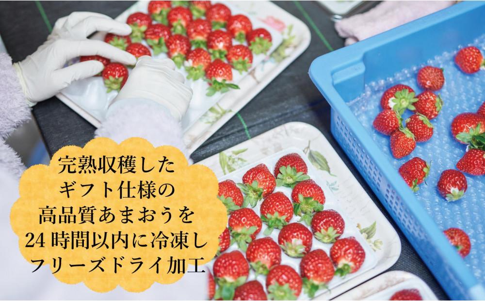 形も味もそのまま楽しめる！完熟あまおう【フリーズドライギフトセット】 (12g×4袋)