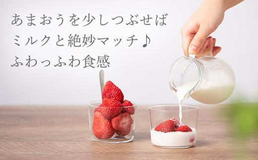 常温で手持ちできるギフト (フリーズドライ＆ジャム 2つ入りセット)