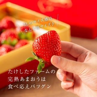 【今期発送の受付は2025年4月27日(日)まで】武下さんちの「完熟あまおう」 3Lサイズ 450g  赤いVIPボックスに入れて！