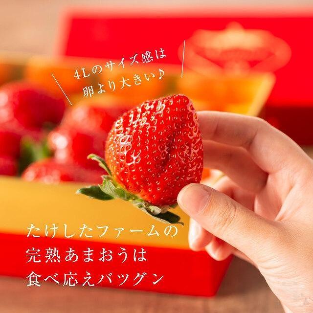【今期発送の受付は2025年4月27日(日)まで】★希少4Lサイズ 450g ★赤のVIPボックスに入った宝石のような「完熟あまおう」！