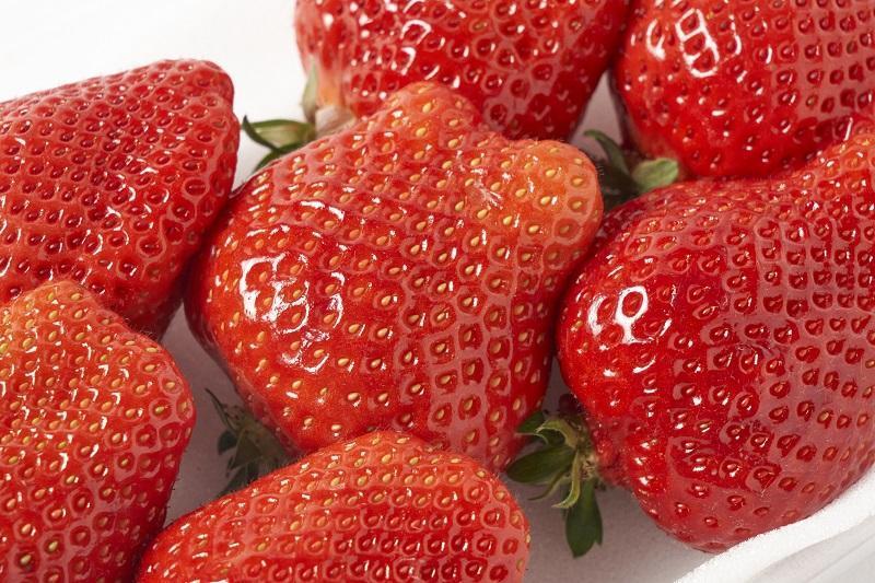 【2026年1月～3月出荷予定】完熟 大粒 あまおう イチゴ 280g×4パック(約1120g)＜配送不可：北海道、沖縄県、離島＞