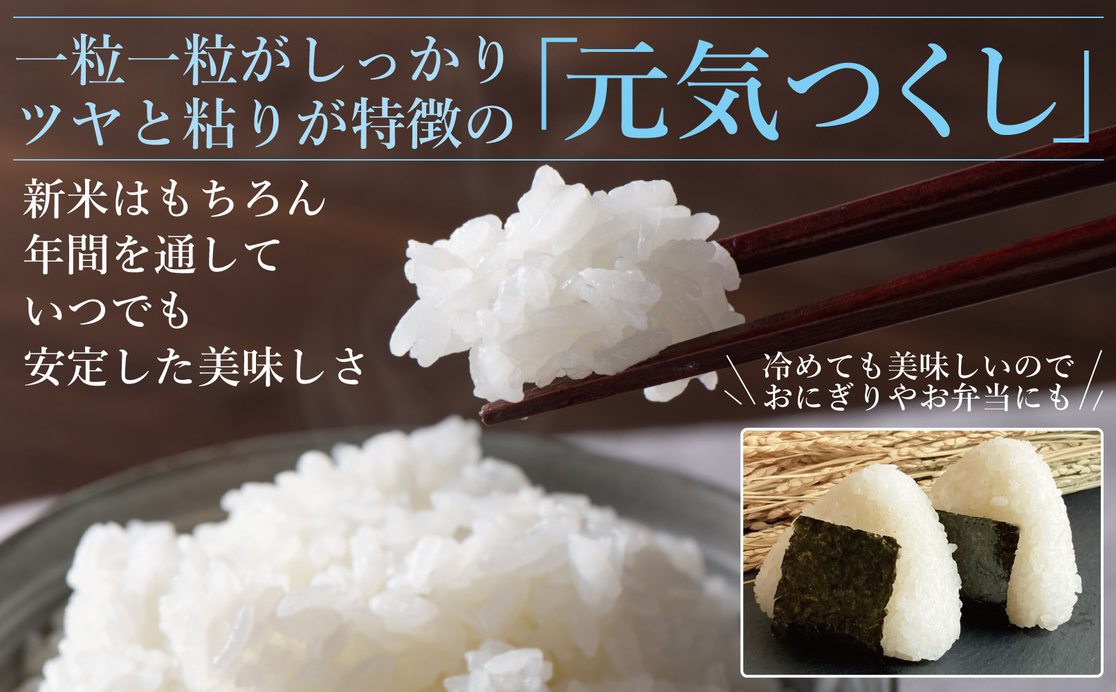 《令和7年産 》福岡県大川市産 ブランド 米「 元気つくし 」 5kg×2個　計10kg