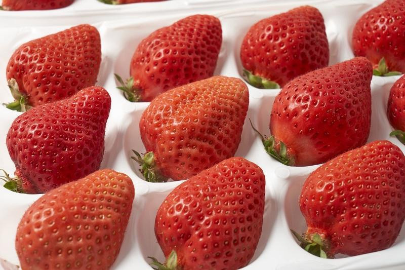 【2026年1月～2月出荷予定】完熟 あまおう イチゴ 350g×2パック(約700g)＜配送不可：北海道、沖縄県、離島＞