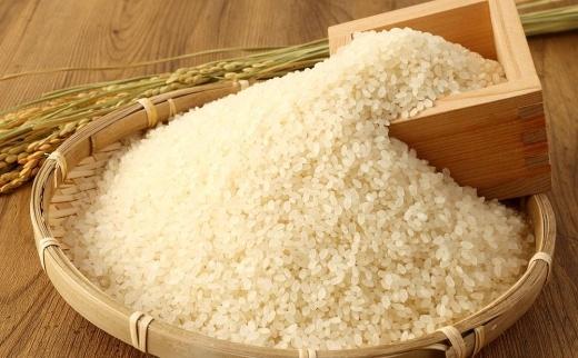 2025年秋収穫分 福岡県大川市産ヒノヒカリ 3kg