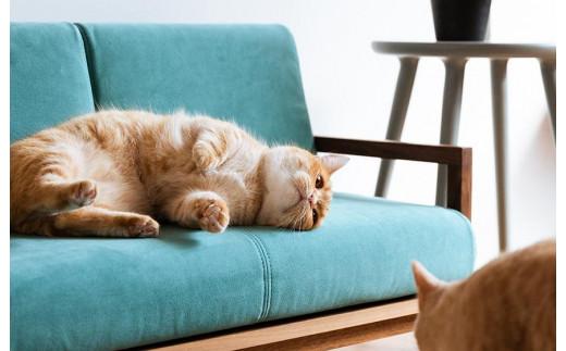 【RONRONNER】CLANK ネコソファ（ハードメープル）