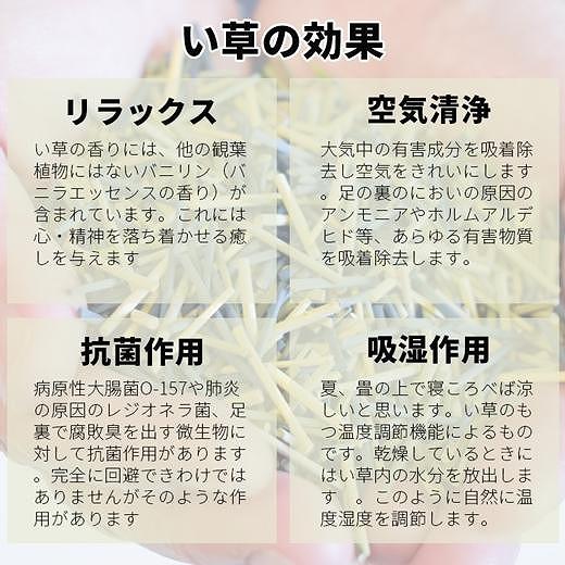 中敷きラグ DX麻の葉 ネイビー 200×266