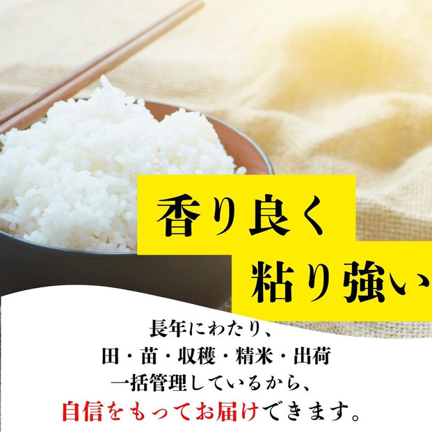 ※10月下旬より順次発送※令和7年産新米ひのひかり100%(自社保有田米) 10kg(小分け真空パック1000g×10) 福岡県 大川市