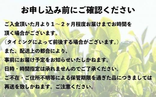 八女上陽の産地直送！ 中島製茶本舗 ご家庭用煎茶ティーバッグ 100パック ( 八女茶 )