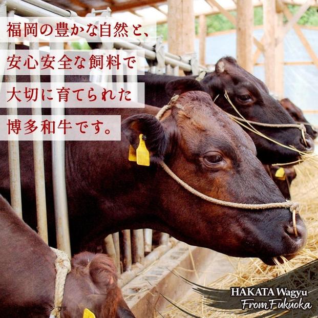 博多和牛 霜降りカルビたれ漬け 全12回定期便 約600g×12回