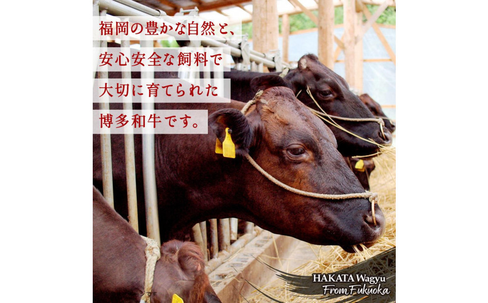 博多和牛 サーロインステーキ 定期便全12回 計約9.6kg(約800g(約200g×4枚)×12回)