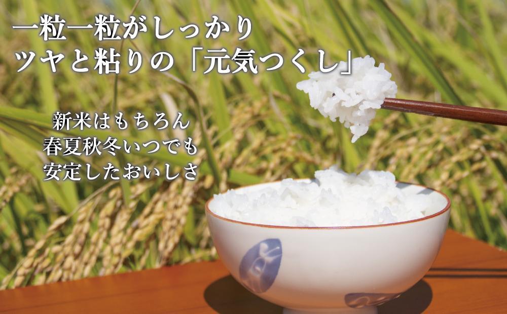 【令和8年度新米】先行予約受付 数量限定 白米(特別栽培農産物)元気つくし 5kg×2袋 (計10kg)