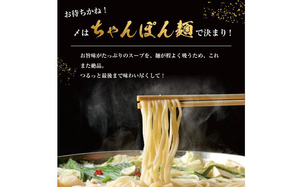 もつ鍋（味噌）3人前セット