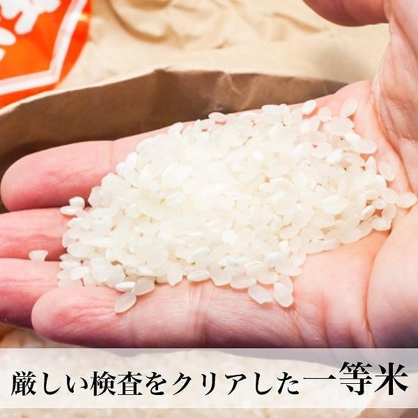 【令和7年産】福岡県産米食べ比べ＜白米＞セット「夢つくし」と「元気つくし」2種類 計10kg