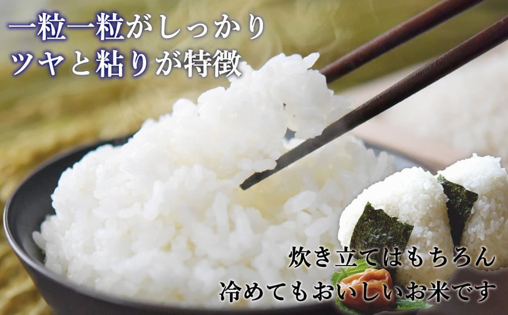 令和7年米 福岡県産 米 金のめし丸元気つくし 5kg