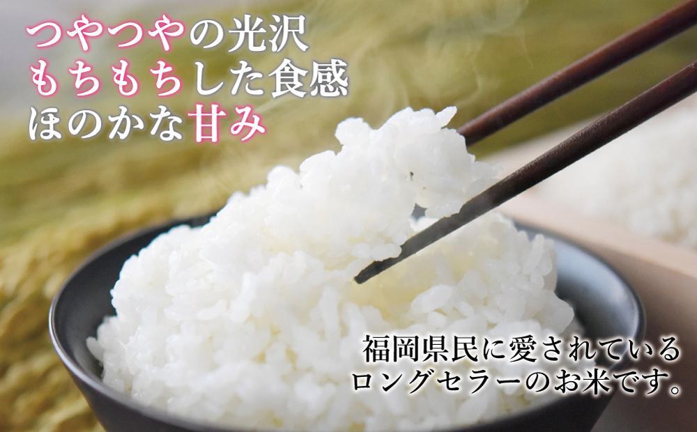 令和7年米 福岡県産 米 【無洗米】金のめし丸夢つくし 5kg (1袋)