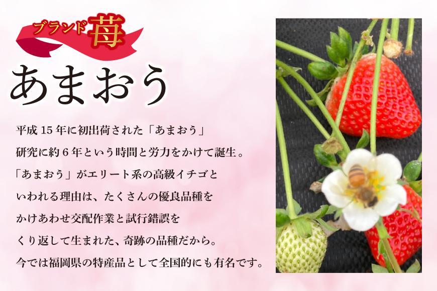 福岡県産あまおう 約270g×2パック 朝採りイチゴ 農家直送 苺専用パッケージでお届け