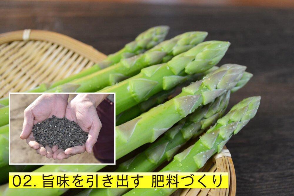 【朝採り直送】夏芽アスパラガス 1kg（L-Mサイズ）福岡県産 2026年