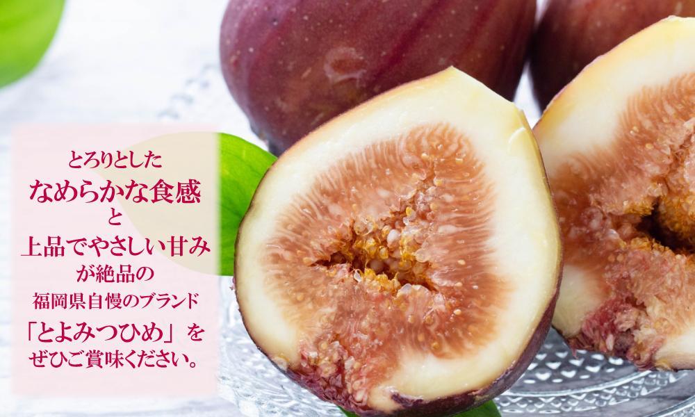 【福岡限定ブランド】いちじく とよみつひめ 300g×4パック (約1.2kg)