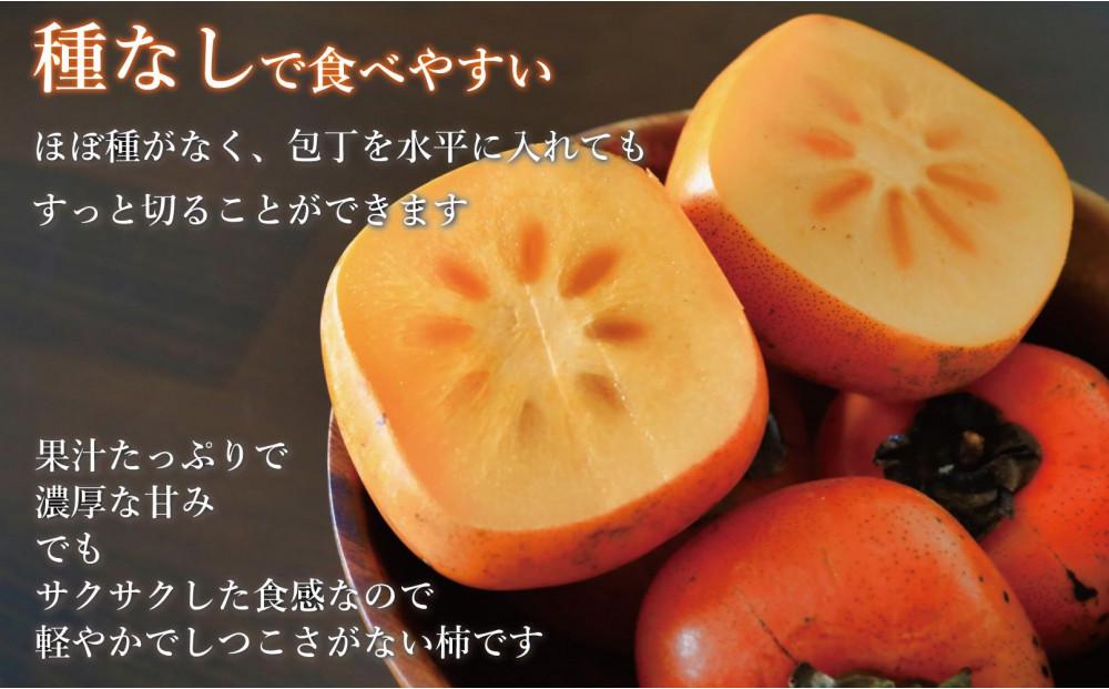 【福岡県産】秋王 約1.5kg