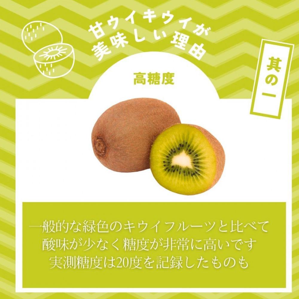 【2026年11月上旬より順次発送】博多甘うぃキウイ(あまうぃ)20玉〜27玉入り 3.6kg相当 うまうまもぐもぐ