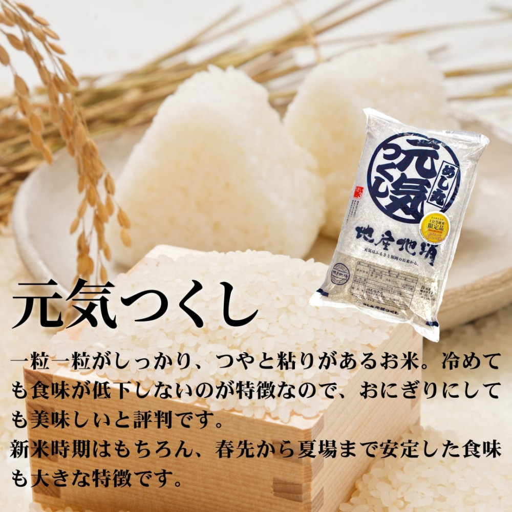 新米！！令和7年産 福岡県産米 食べ比べセット(夢つくし・元気つくし) 合計20kg (各5kg×2袋ずつ)