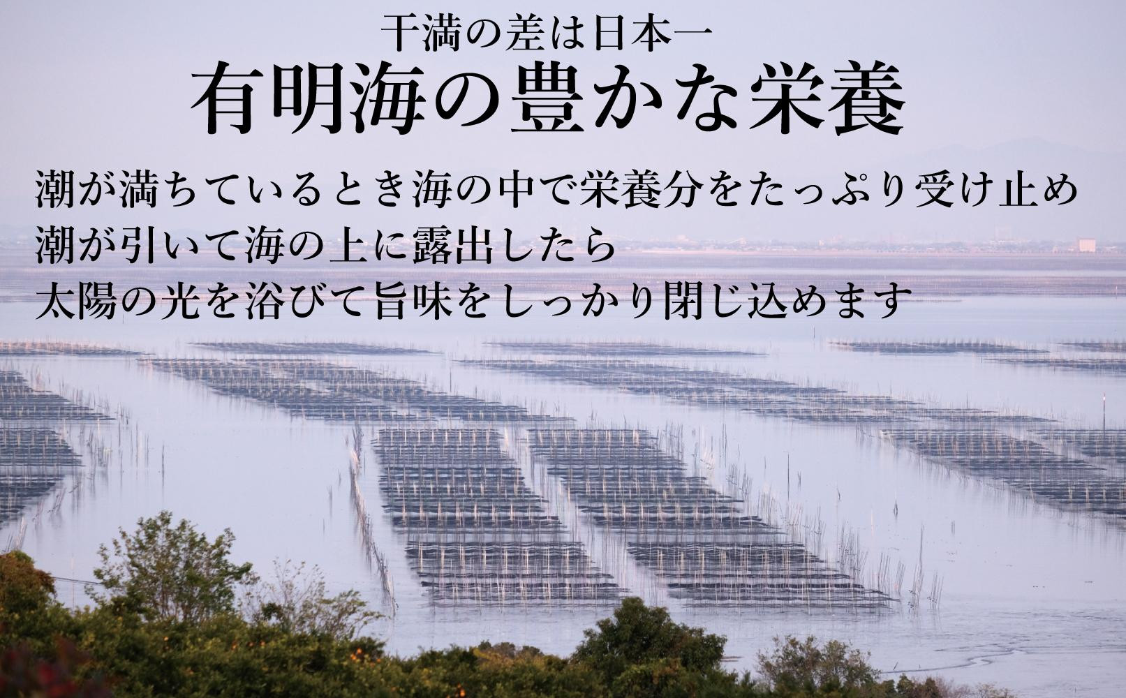 焼き海苔 福岡有明海苔ボトル4本(10切100枚×4本 計400枚) 【福岡有明海産】