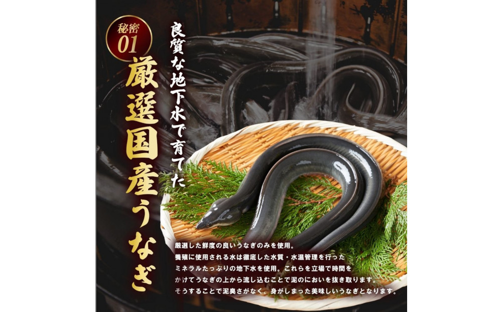 うなぎ蒲焼（国産鰻 200g×2尾）