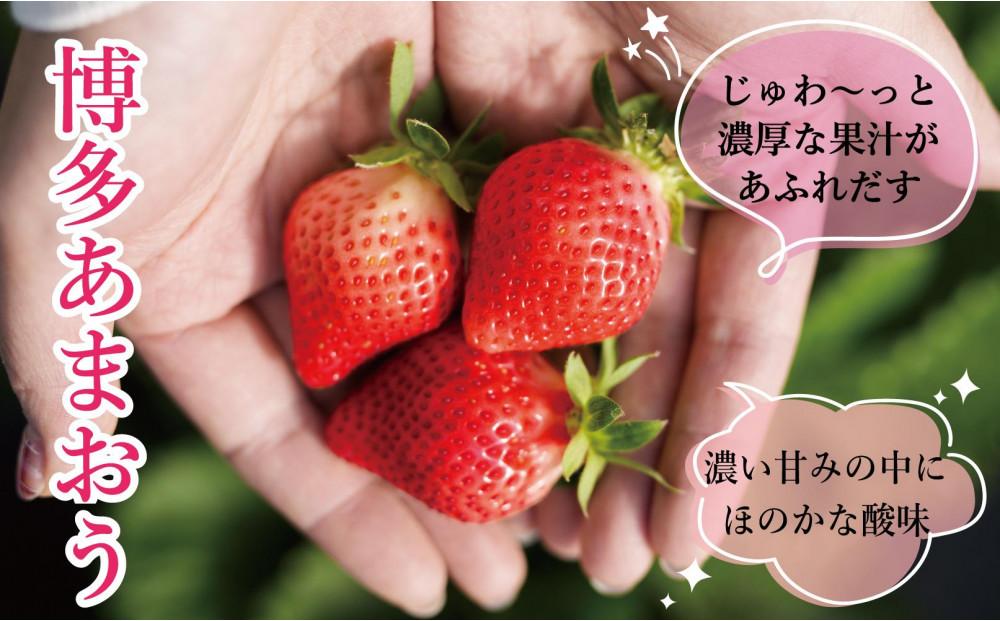 ★先行予約★いちごの王様 福岡県産博多あまおう270g×4パック【2026年2月中旬～3月順次出荷予定】