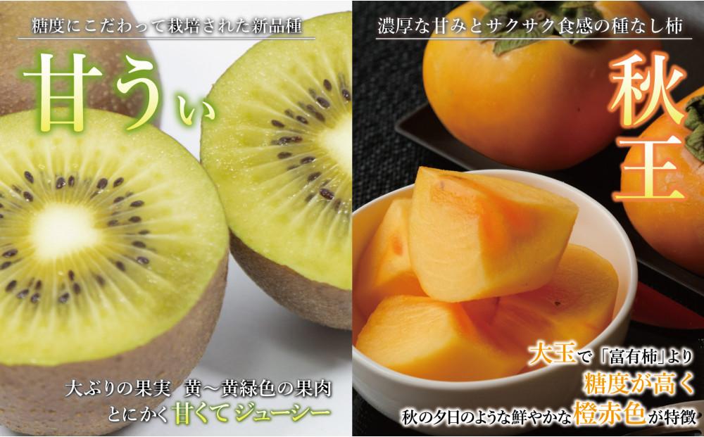 福岡フルーツ定期便A (あまおう・とよみつひめ・甘うぃ・秋王)【全4回】