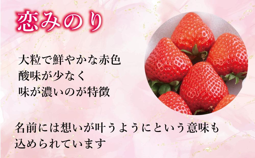 大川市産 あまおう・恋みのり 食べ比べ【2023年12月29日～2024年1月3日発送】