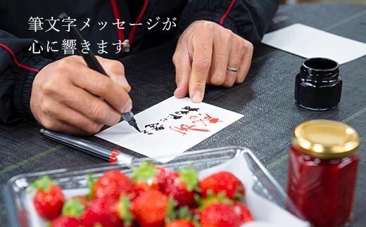 【今期発送の受付は2025年4月27日(日)まで】★たっぷり！2倍の量★武下さんちの「完熟あまおう」3Lサイズ 900g入り