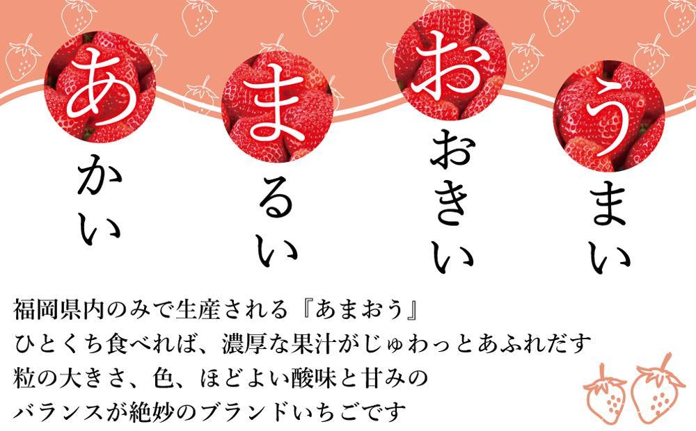 【今期発送の受付は2025年4月27日(日)まで】★開けてびっくり★驚きのボリューム完熟あまおう大玉詰め合わせ1200g