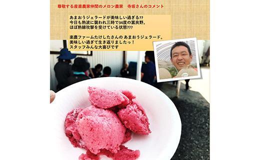 武下さんちのあまおうジェラート56％ 12カップギフト 濃厚なのに後味さっぱり！ ご家族5，6名様向け