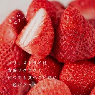 形も味も生のまま！武下さんちの完熟あまおうフリーズドライ 12g×4袋セット 赤いVIPボックスに入れて！