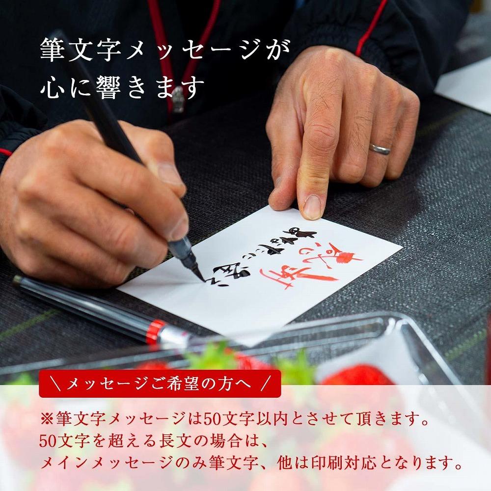 【今期発送の受付は2025年4月27日(日)まで】★たっぷり1000g！★ミニサイズの「完熟あまおう」セット