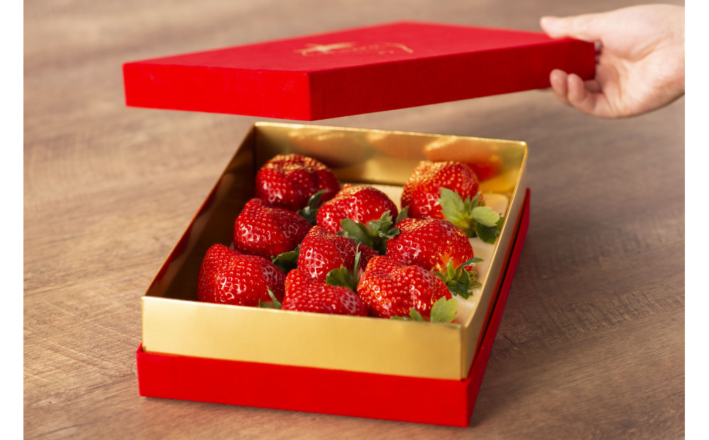 VIPボックス赤[5Lサイズ450g] 　最高級完熟あまおうギフト